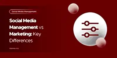 Social Media Management vs Marketing: Key Differences